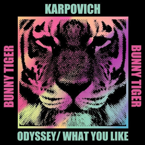 KARPOVICH - ODYSSEY - What You Like [BT160]